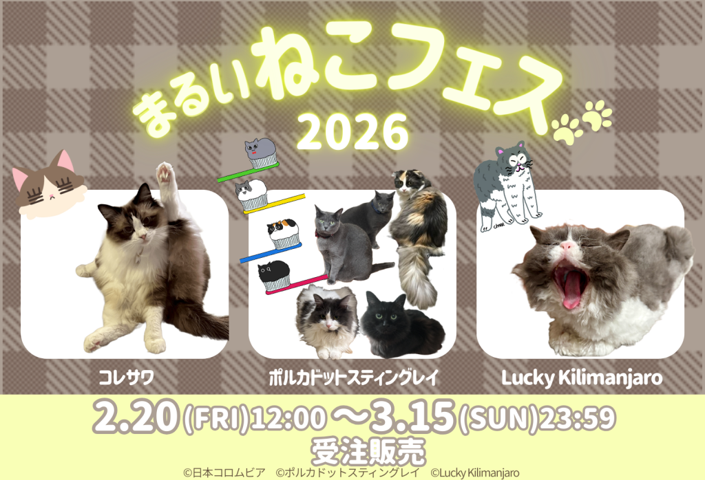 ポルカドットスティングレイ☆『一大事』告知ポスター☆B2 新品 