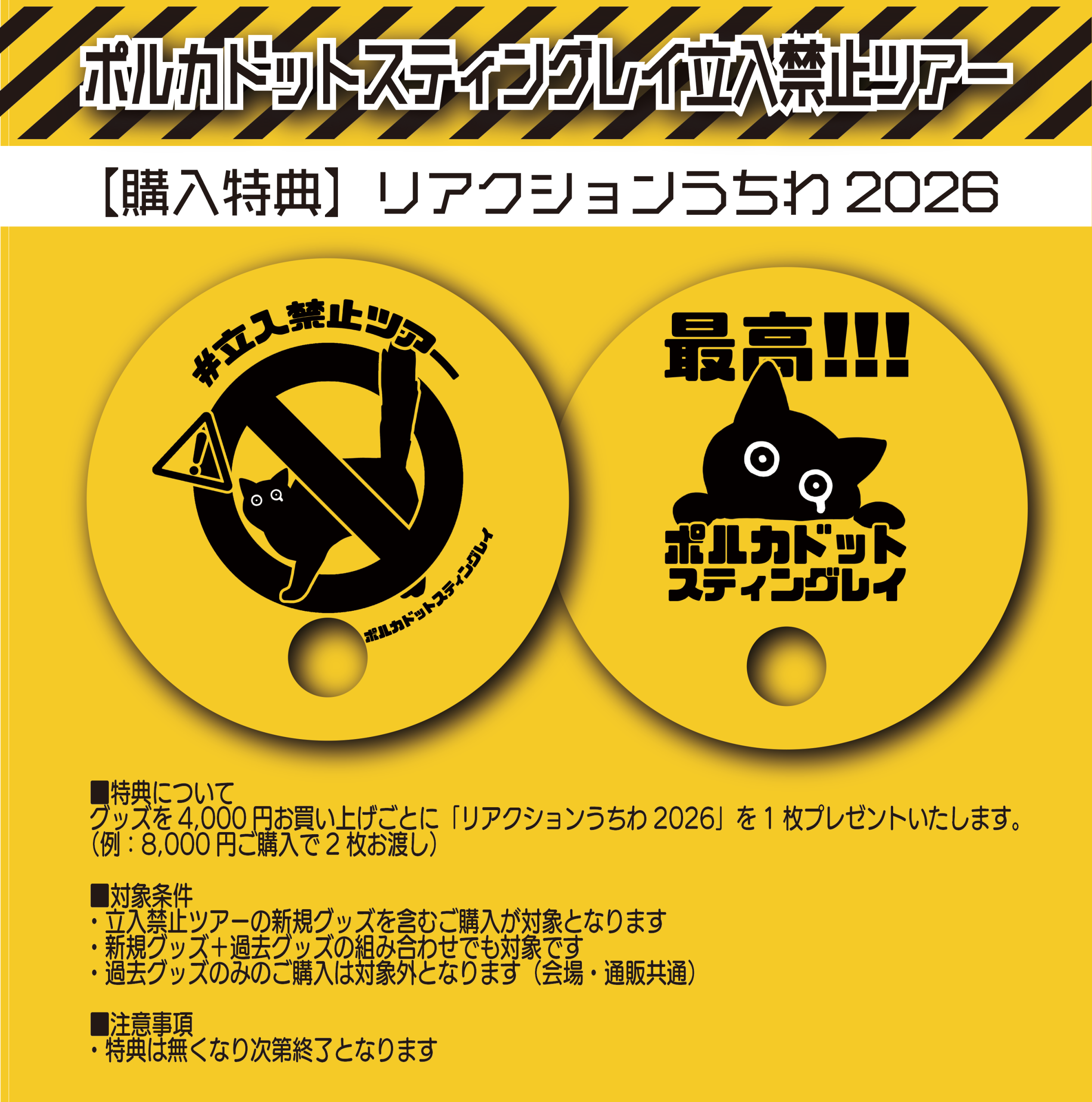 NEWS - ポルカドットスティングレイ